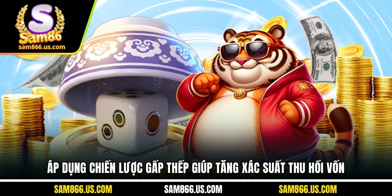 Áp dụng chiến lược gấp thếp giúp tăng xác suất thu hồi vốn